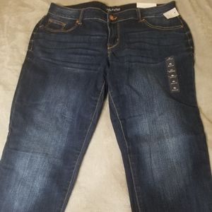 maurices X-Large Jegging Denim Flex